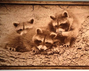 Glowforge Digital Laser Ready Design File - Raccoon Family - Wood Engrave File - SVG - PDF - PNG - Wildlife - Animals - Nature - wilderness