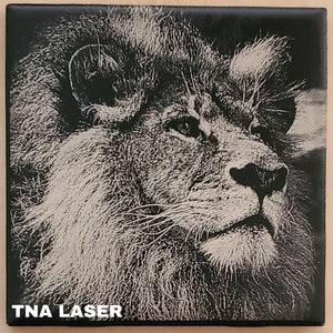May include: A black and white engraved image of a lion's head with a mane. The image is on a black background and has the text "TNA LASER" at the bottom.