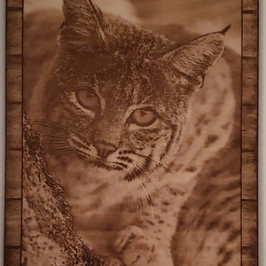 Glowforge Digital Laser Ready Design File - Bobcat - Wood Engrave File - SVG - PDF - PNG - Wildlife - Big Cat -