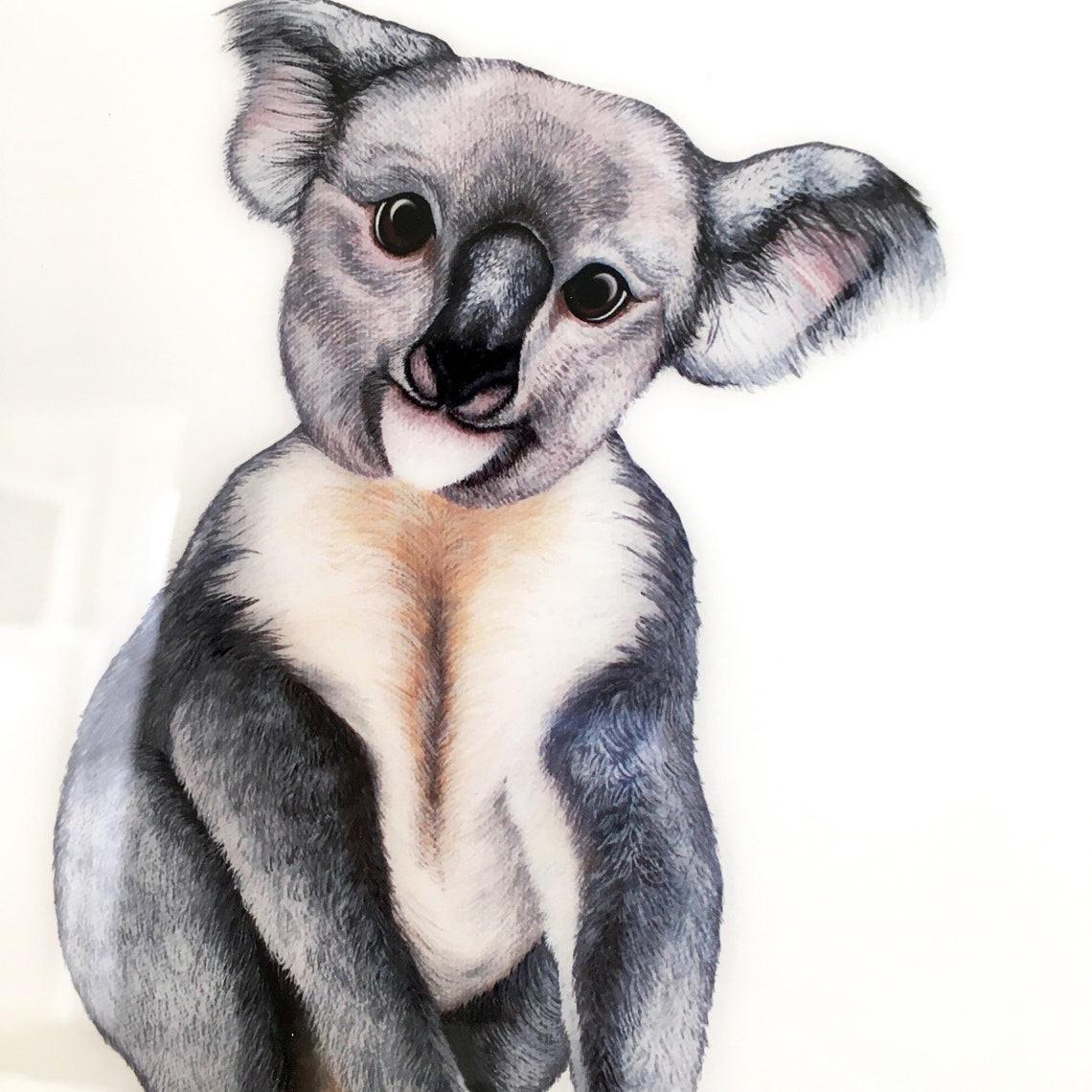Koala Bear Print Baby Koala Art Australian Animal Woodland Etsy