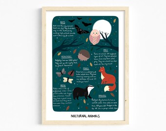 Nocturnal Animals Poster - Etsy Ireland Nocturnal Animals Poster - Etsy Ireland