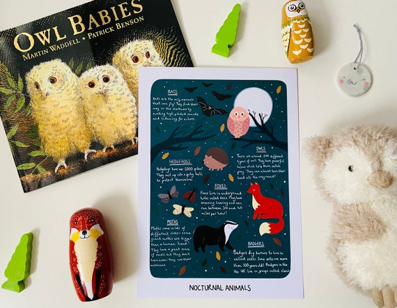 Nocturnal Animals Print Animal Facts Print Childrens - Etsy Nocturnal Animals Print Animal Facts Print Childrens - Etsy
