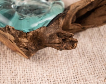 Ashtray, Mini Glass on Wood Aquascape With Natural Driftwood, Candle holder,Candy holder from Bali FREE SHIPPING