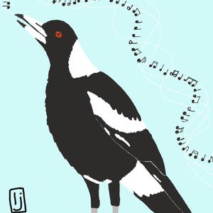 May include: A digital illustration of a black and white magpie with a red eye, standing on green grass against a light blue background. The bird has its beak open, with a swirling white line and black musical notes emanating from its mouth.