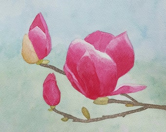 Magnolias watercolour painting