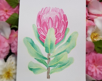 Pretty Protea Watercolour - original art, painting