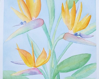 Original Art - Bird of Paradise Watercolour!