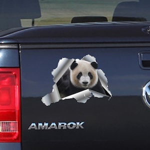 Bamboo Bear Sticker Bumper, Panda Decal Car, Laptop Decoration 3D Hole, Animal Funny Decor, Gift for Friends, Made in the USA UQ163