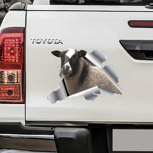 Sheep Decal for Car, Farm Animal Decals for Truck, Decor for Laptop, Decor for Friends, Ram Cars Sticker, Fanny Stickers UQ76