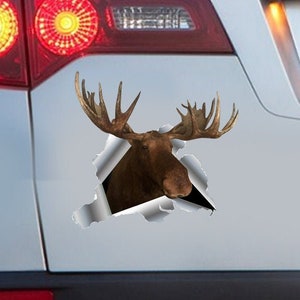 Elk Decal Bumper, Stickers Wild Animals Car, Animal Decals Gift for Friend, Elk Sticker Car, Truck Decoration, Made in the USA UQ149