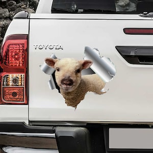 Funny Lamb Decal for Car, Decor Gift for Friends, Sheep Cars Sticker, Fanny Stickers, Hole in the Bumper Metalic Decals UQ78