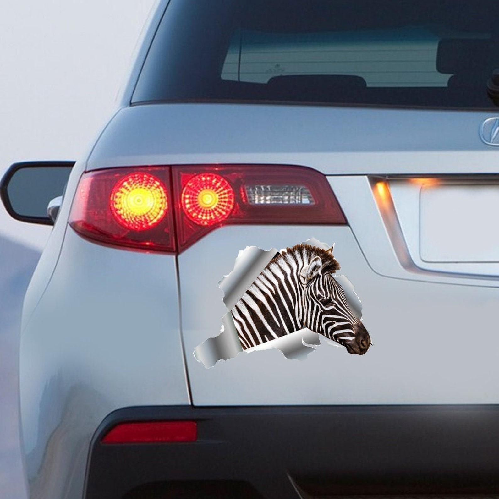 Zebra Car Decal Stickers for Truck Decoration Safari Animal Etsy