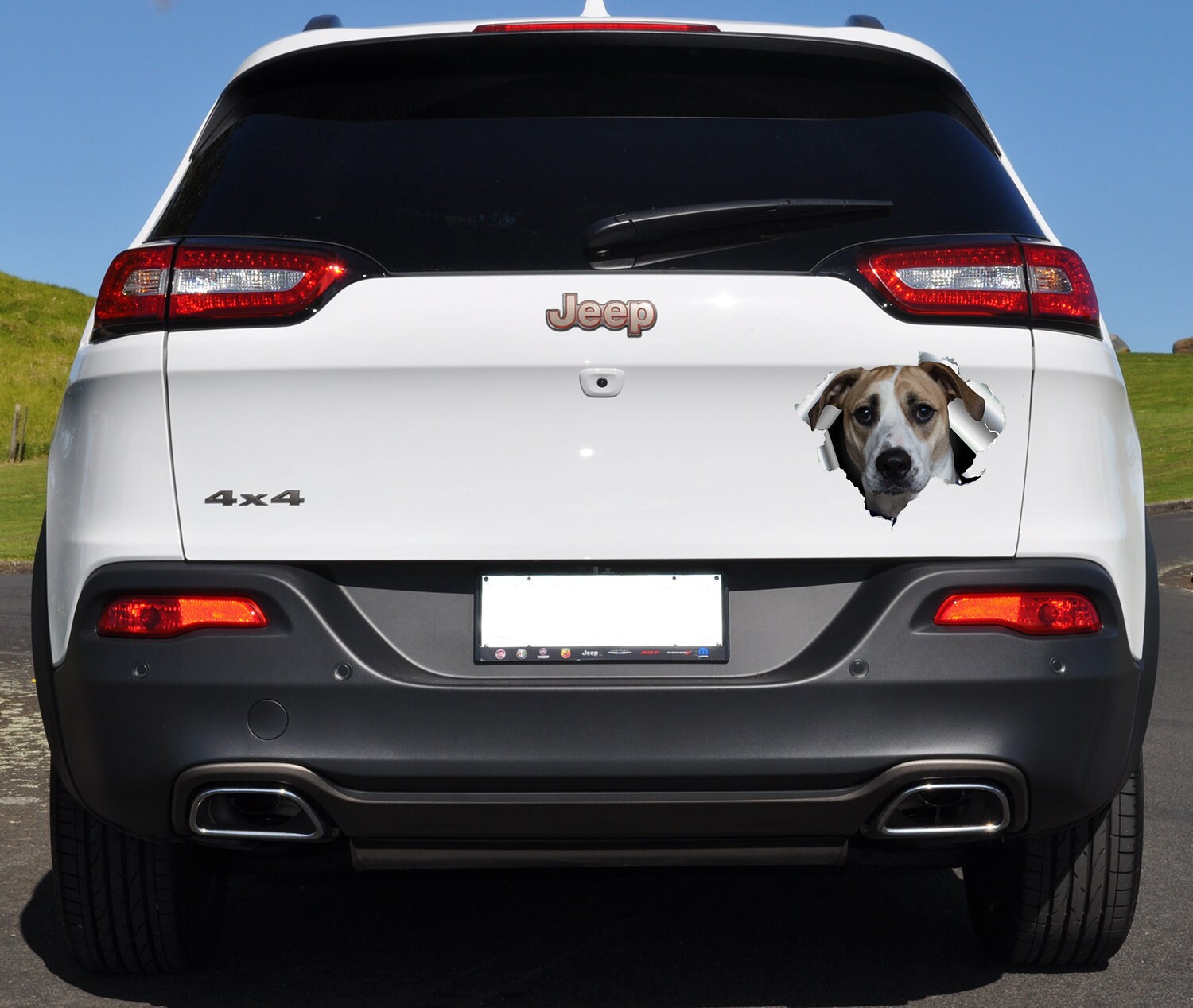 Dog Car Decal Pet Decor for Truck 3D Effect Decal Cars Etsy
