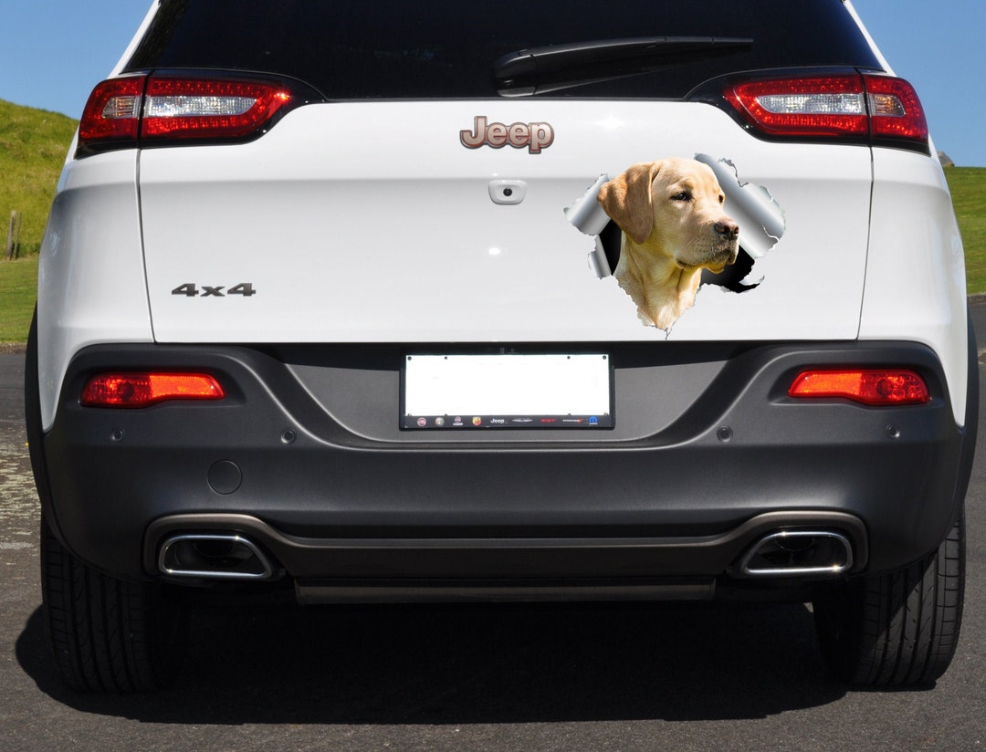 Labrador Car Decal, Dog Decal for Truck, 3D Effect Decal for Cars, Car ...