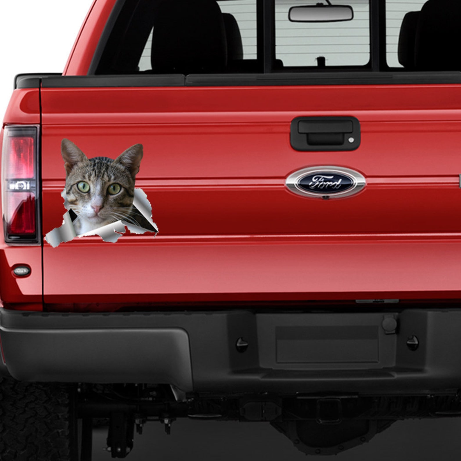 Cat Car Sticker Funny Cat Decal Bumper Animal Sticker Etsy