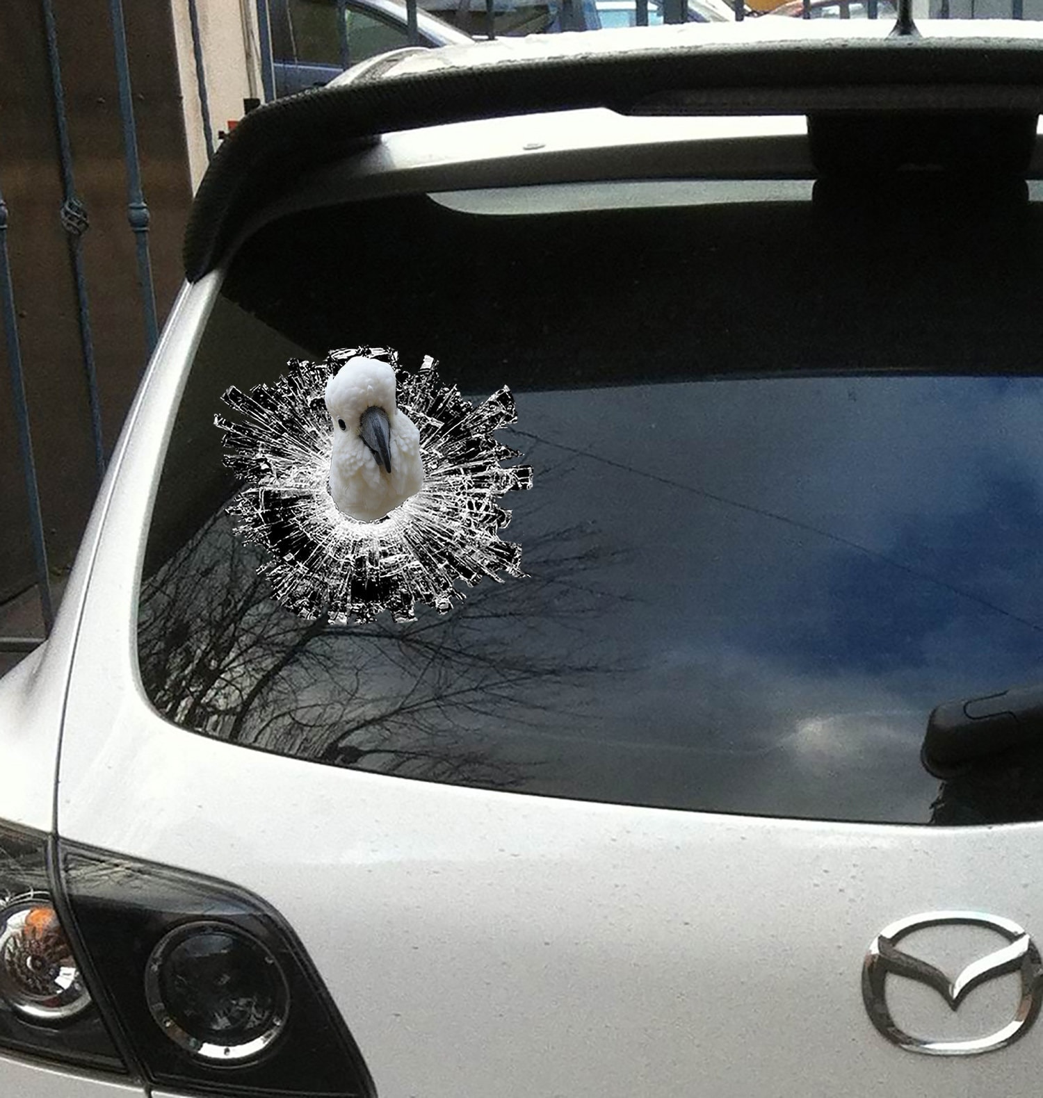 Umbrella Cockatoo Window Car Sticker Vinyl Sticker Car Rear - Etsy