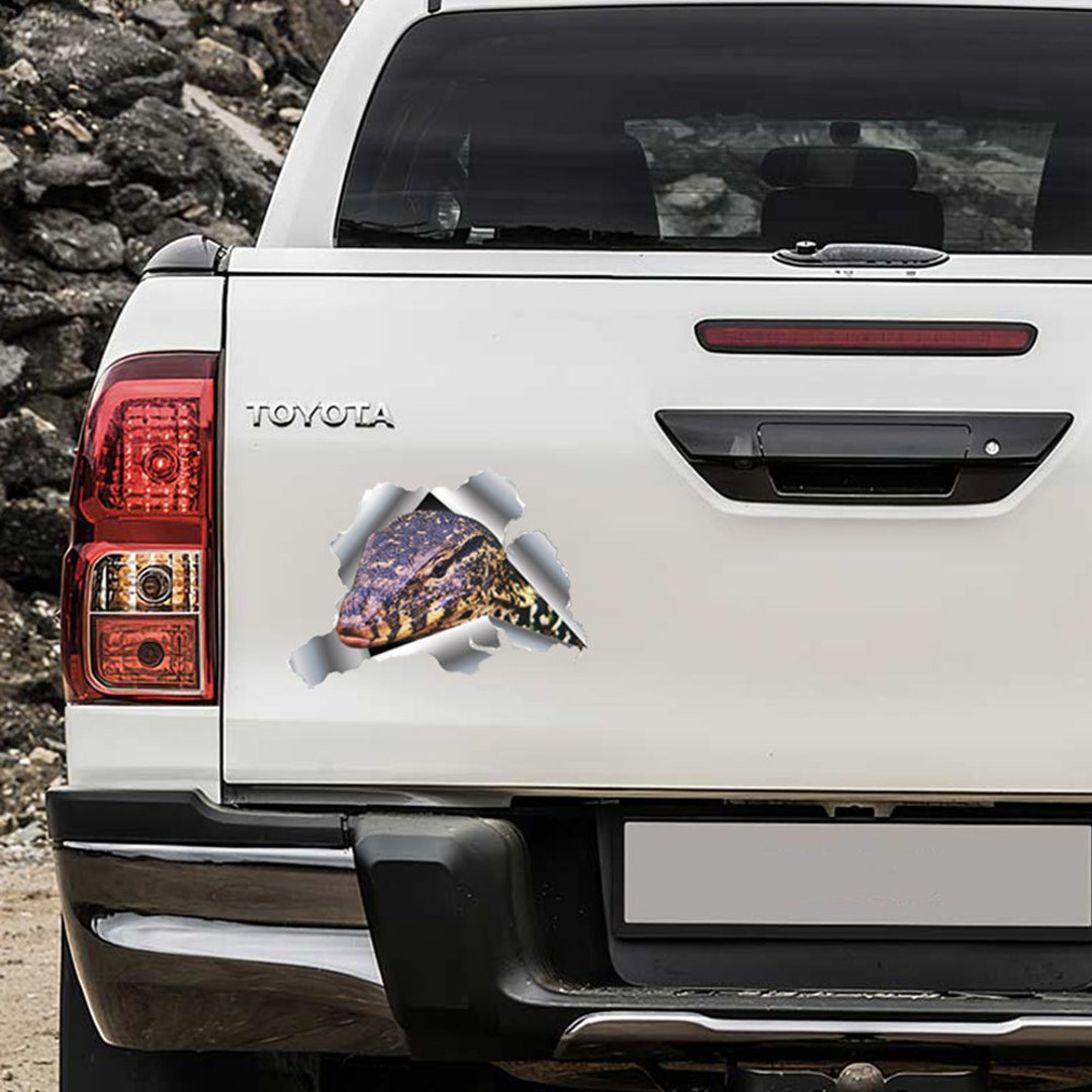 3D Waschbär Aufkleber - Wasserdicht & Abziehbar Für Auto, Fahrrad & Mehr