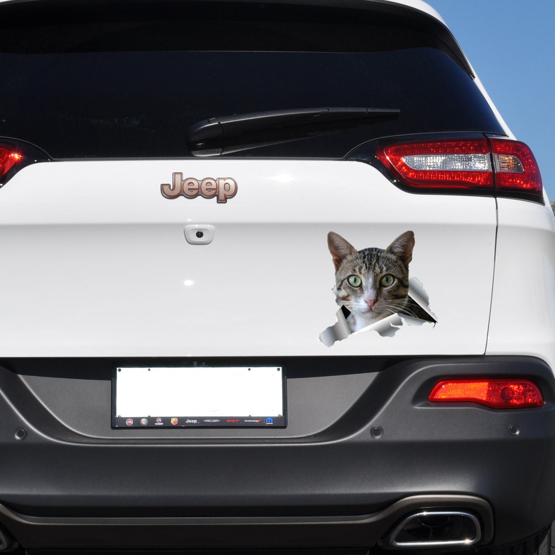 Cat Car Sticker Funny Cat Decal Bumper Animal Sticker Etsy