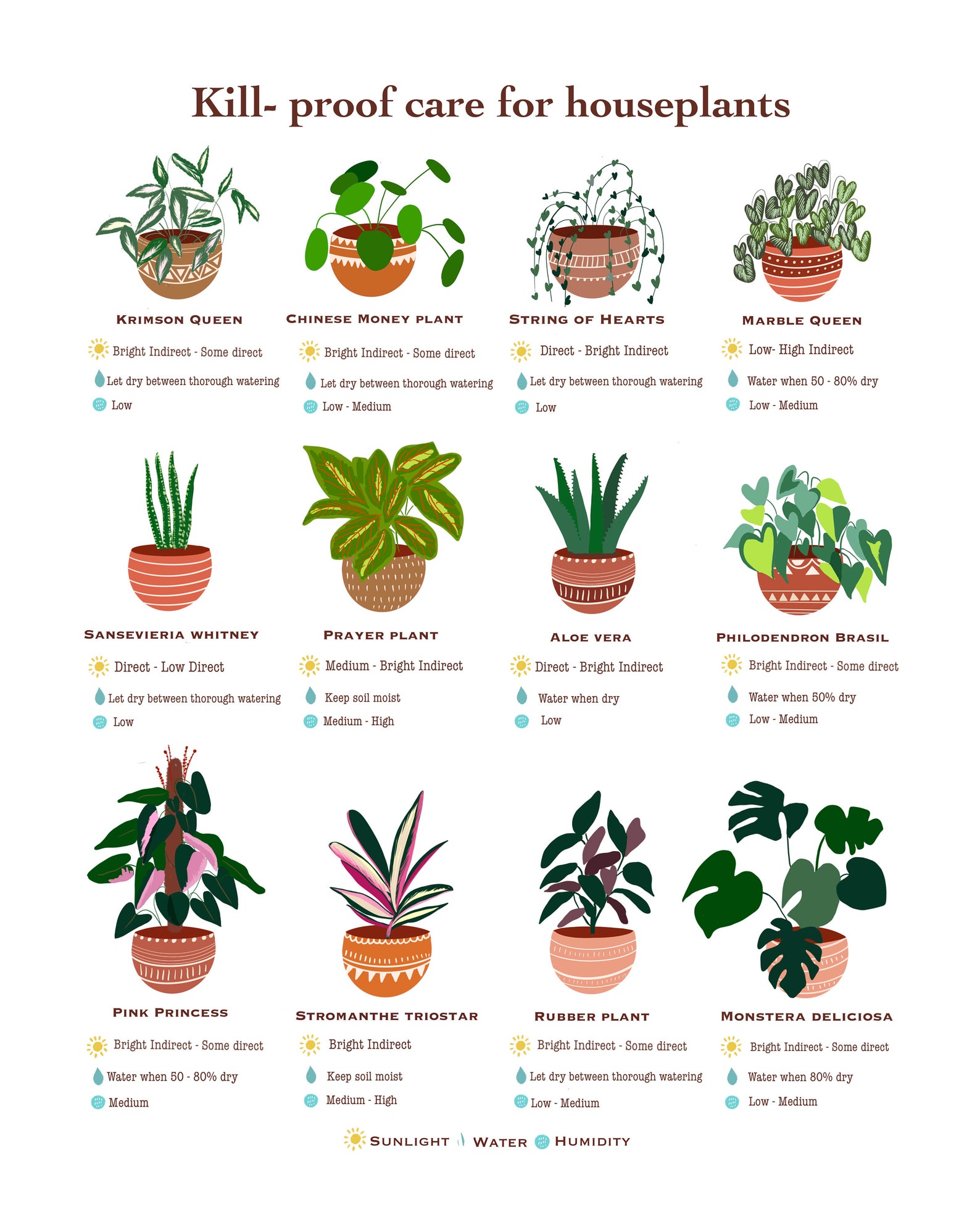 Houseplant Guide Plant Care Guide Beginner Plant Chart | Etsy Canada