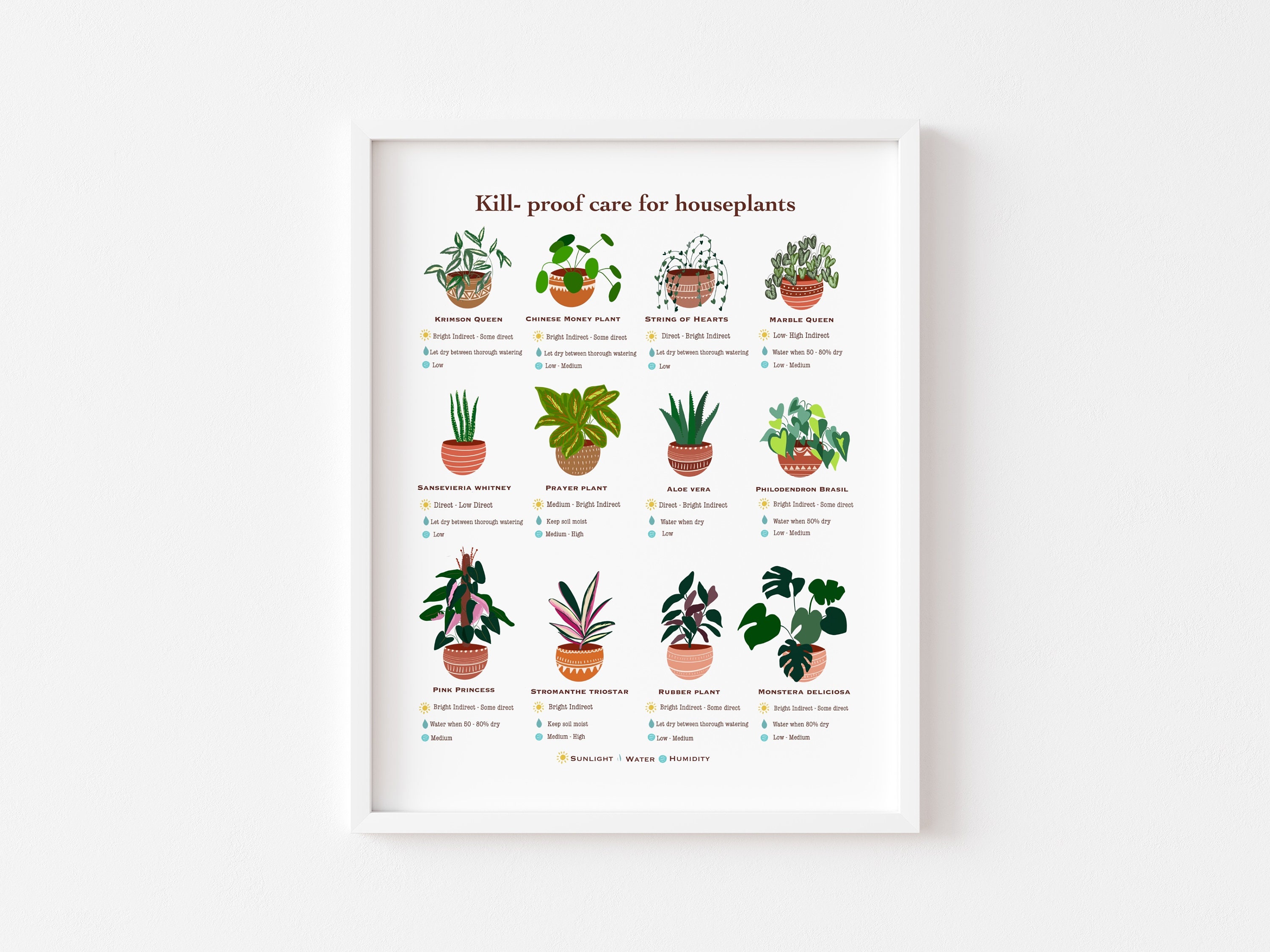 Houseplant guide, plant care guide, beginner plant chart, plant care instruction, kill proof plant guide, plant care tips, house plant art