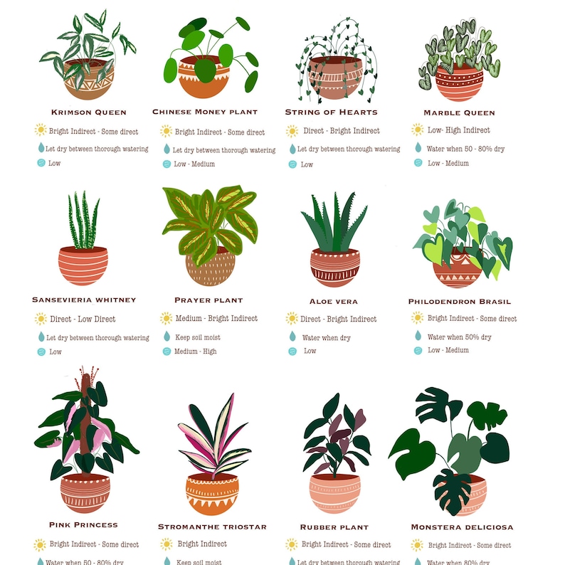 Houseplant Guide Plant Care Guide Beginner Plant Chart - Etsy Sweden