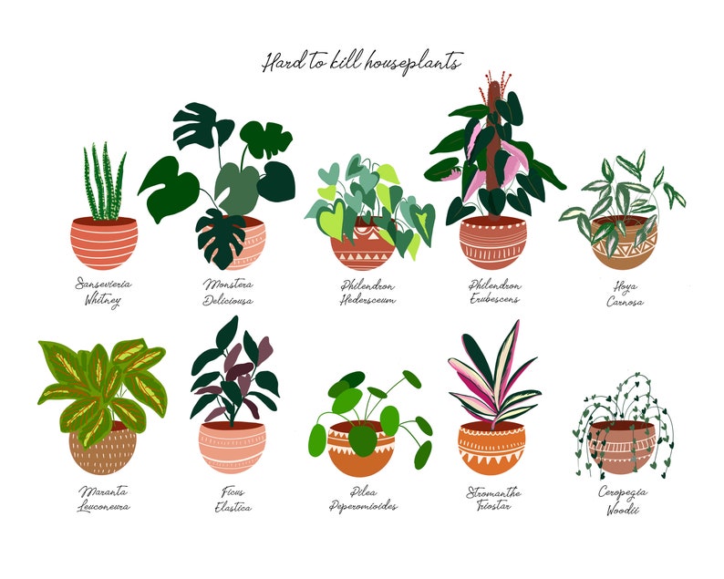 Beginner house plant poster, house plant addict poster, pretty plants, home decor, boho print, bohemian plant art, house plant artFor mother image 2