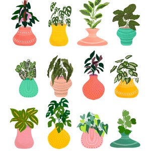 House plant art, colourful poster, beginner houseplant art, modern art print, plant lover gift, bohemian plant art, Botanical wall art image 3