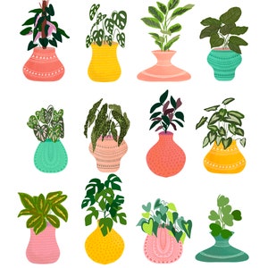 May include: Twelve potted plants with various green leaves and colorful patterned pots. The pots are in different shapes and sizes, including round, oval, and square.