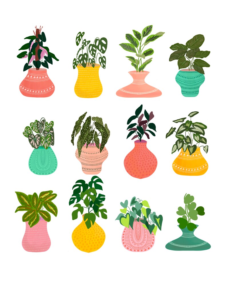 May include: Twelve potted plants with various green leaves and colorful patterned pots. The pots are in different shapes and sizes, including round, oval, and square.