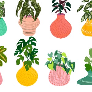 May include: A collection of potted plants with various green leaves and colorful patterned pots. The pots are in different shapes and sizes, including round, oval, and rectangular. The plants are in a variety of styles, including leafy, trailing, and bushy.