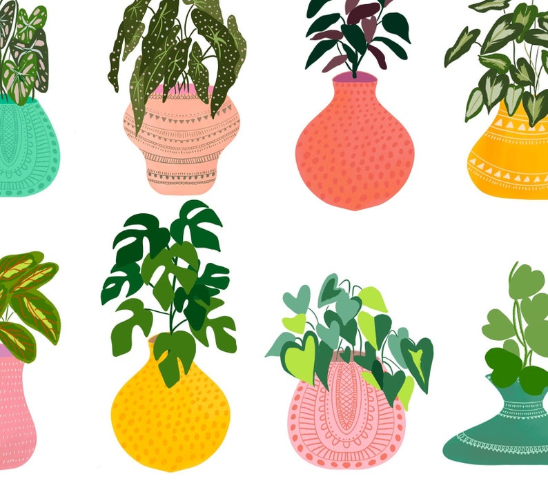 May include: A collection of potted plants with various green leaves and colorful patterned pots. The pots are in different shapes and sizes, including round, oval, and rectangular. The plants are in a variety of styles, including leafy, trailing, and bushy.