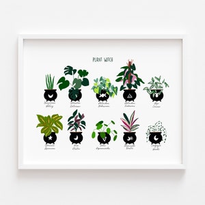 May include: A white framed print with the title "Plant Witch" featuring illustrations of 10 different houseplants in black pots with a black cauldron and a symbol on each. The plants are: Snake Plant, Monstera Deliciosa, Philodendron Birkin, Philodendron Brasil, Prayer Plant, Maranta Leuconeura, ZZ Plant, Stromanthe Triostar, Comparettia Speciosa, and String of Pearls.