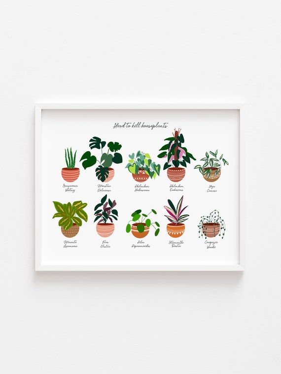 Beginner house plant poster, house plant addict poster, pretty plants, home decor, boho print, bohemian plant art, house plant artFor mother