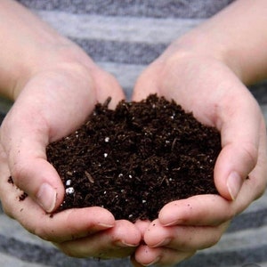 Organic Houseplant Potting Mix