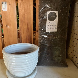 May include: A white ceramic planter with a matching saucer sits next to a large bag of potting mix. The bag is clear with a label that reads "Organic Hausplant Potting Mix". The planter has a ribbed design.