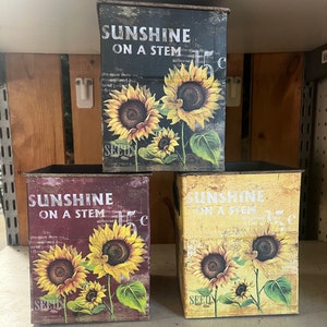 May include: Three rectangular metal planters with a distressed finish. Each planter features a sunflower design with the text "SUNSHINE ON A STEM". The planters are in black, burgundy, and yellow.