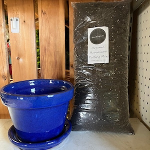 May include: A blue ceramic pot with a matching saucer, next to a bag of organic potting mix labeled "Organic Hausplant Potting Mix" from UrbanHouseplants.