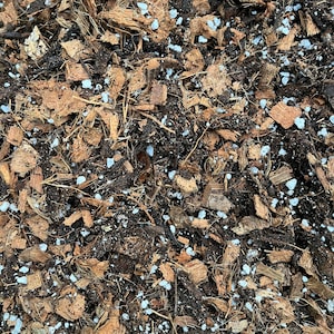Organic Aroid Potting Mix