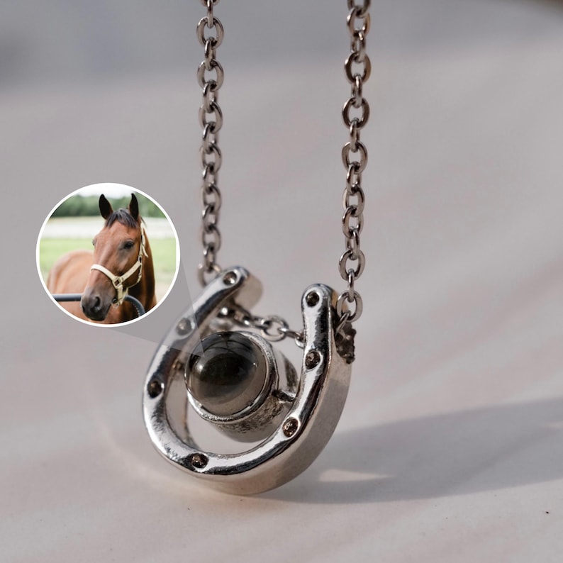 May include: Silver horseshoe pendant necklace with a round, dark center stone. The necklace chain is also silver. A small inset image shows a brown horse with a white bridle.