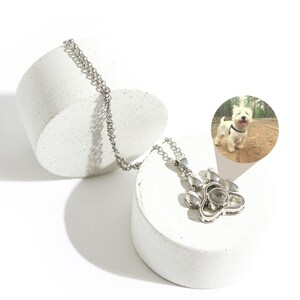 May include: A silver paw print pendant necklace with a chain, presented on a white, geometric surface. The pendant features a detailed paw print design. A small image of a white dog is in the background.