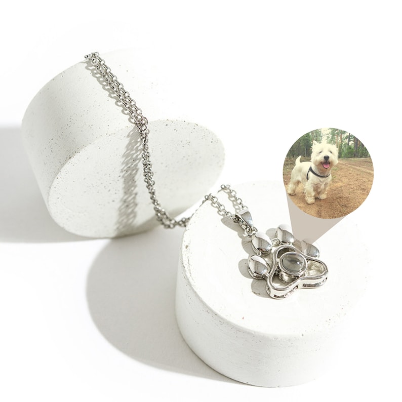 May include: A silver paw print pendant necklace with a chain, presented on a white, geometric surface. The pendant features a detailed paw print design. A small image of a white dog is in the background.