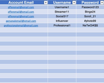 Password Manager Excel Template