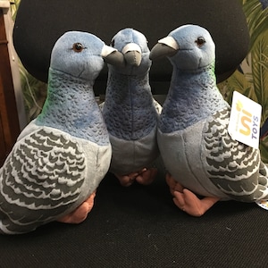 Pelúcia Transportadora Pidgeon com mensagem para o receptor | Pombo de pelúcia | Pombo-correio de pelúcia com mensagem para destinatário