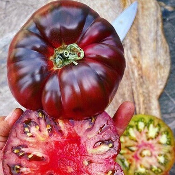 15 Black Krim Tomato Seeds