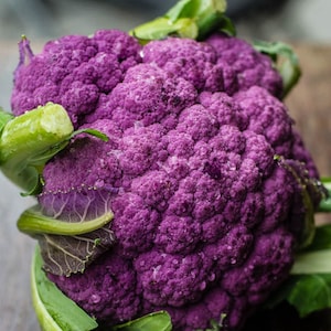 25 Purple Cauliflower Seeds Di Sicilia Violetto