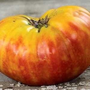 15 Flame Tomato Seeds