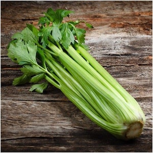 50 Tall Utah Celery Seeds