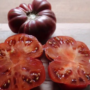 15 Purple Calabash Tomato Seeds - 16th Century Heirloom Cooking Variety
