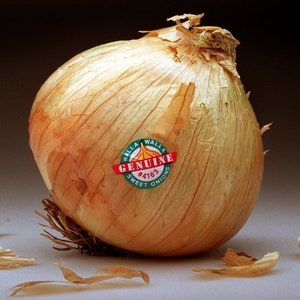 May include: A large, brown onion with a green and red sticker that reads "Walla Walla Genuine Sweet Onions #4163".