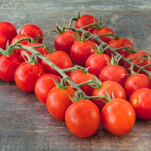15 Cerise Cherry Tomato Seeds